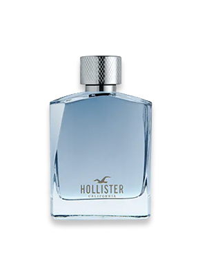 Wave for Him van Hollister