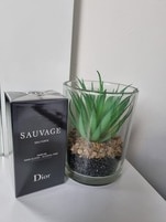 1329012_enhance_review_media_7181532 1329012_enhance_review_media_7181532