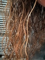 1332988_enhance_review_media_0156247 1332988_enhance_review_media_0156247