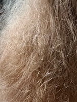 1332988_enhance_review_media_2143762 1332988_enhance_review_media_2143762