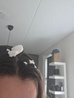 1335095_enhance_review_media_1887038 1335095_enhance_review_media_1887038