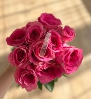 1406110_enhance_review_media_6961985 1406110_enhance_review_media_6961985