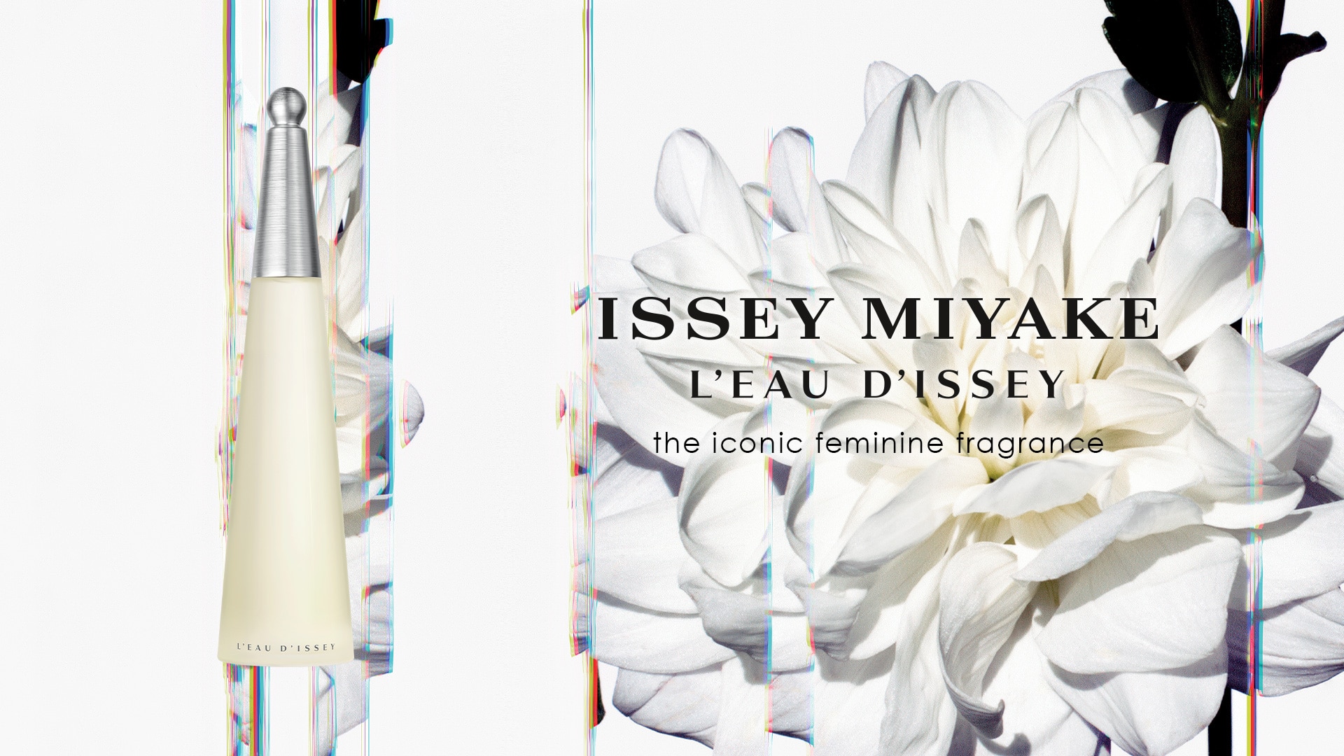 l'eau d'issey femme l'eau d'issey femme