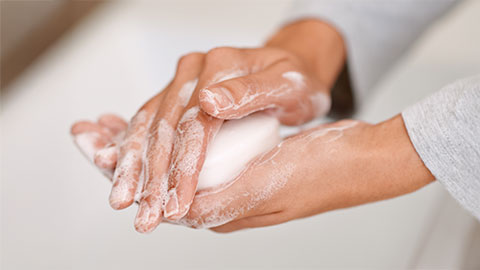 un savon pour les mains						 un savon pour les mains