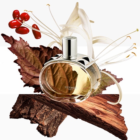 Hermes - Terre