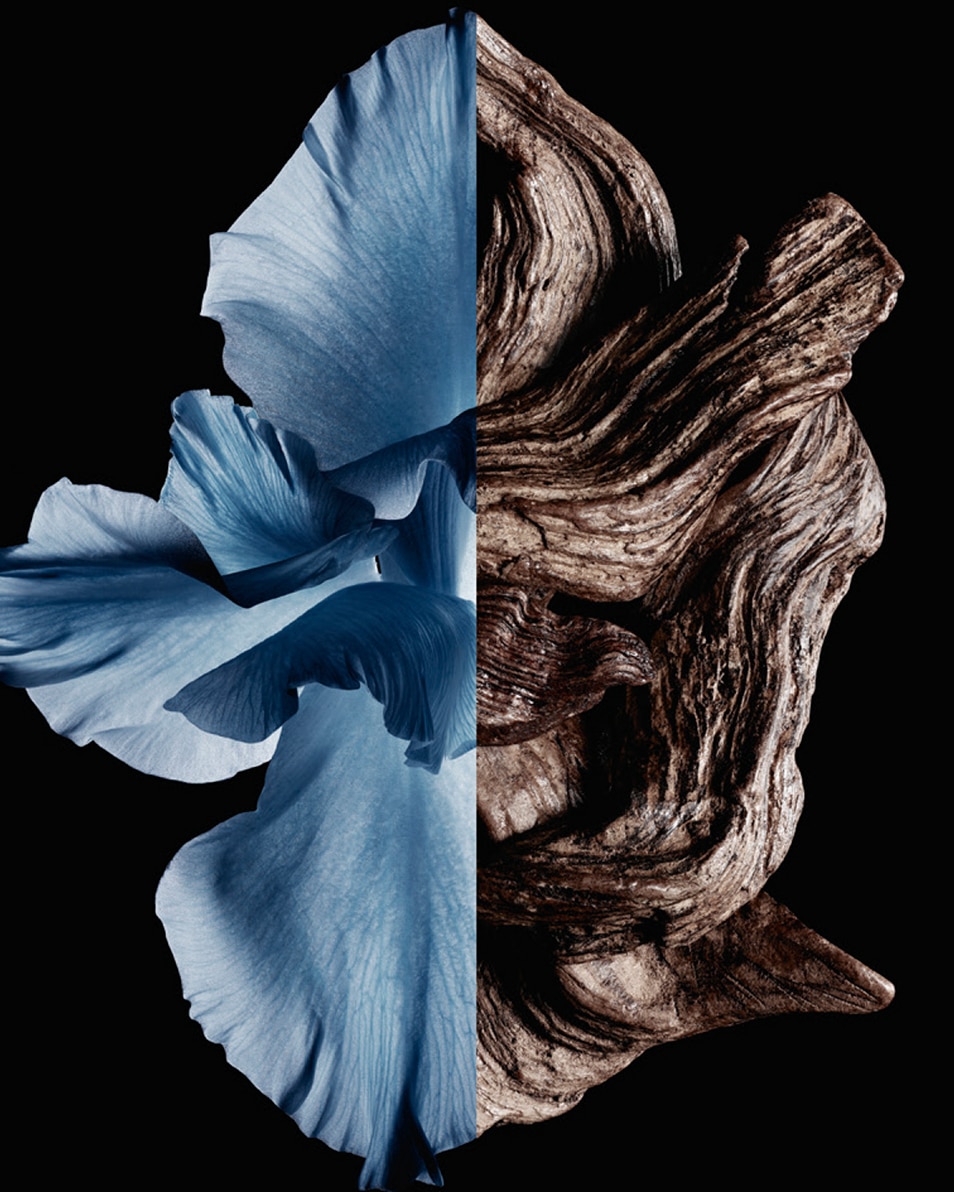 EAU DE TOILETTE INTENSE