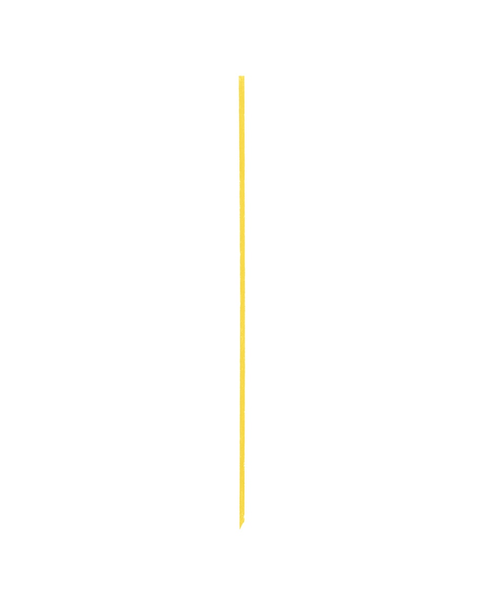 SHISEIDO MICROLINER INK EYELINER 06 Yellow