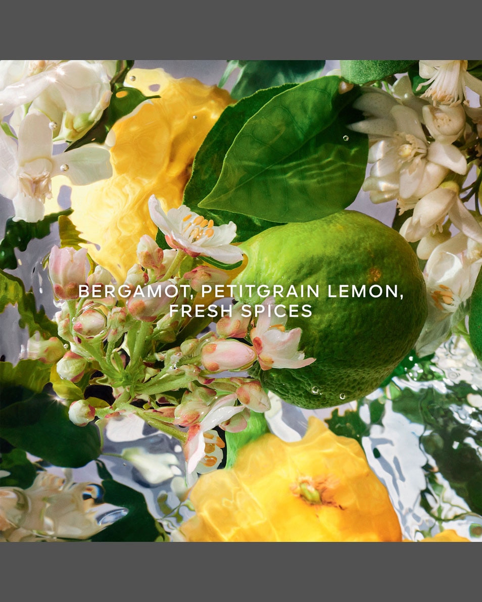 GUERLAIN AQUA ALLEGORIA BERGAMOTE CALABRIA - EAU DE TOILETTE 75 ML 3