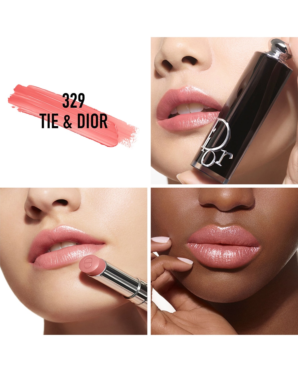 DIOR DIOR ADDICT RECHARGE ROUGE À LÈVRES 329 Tie & Dior 3