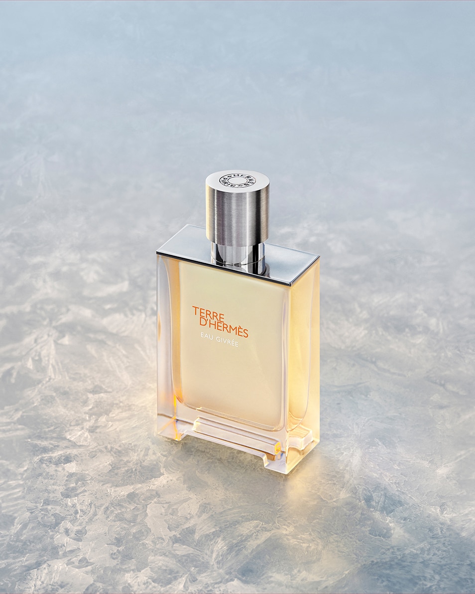 HERMÈS TERRE D'HERMÈS EAU GIVRÉE, EAU DE PARFUM 100 ML