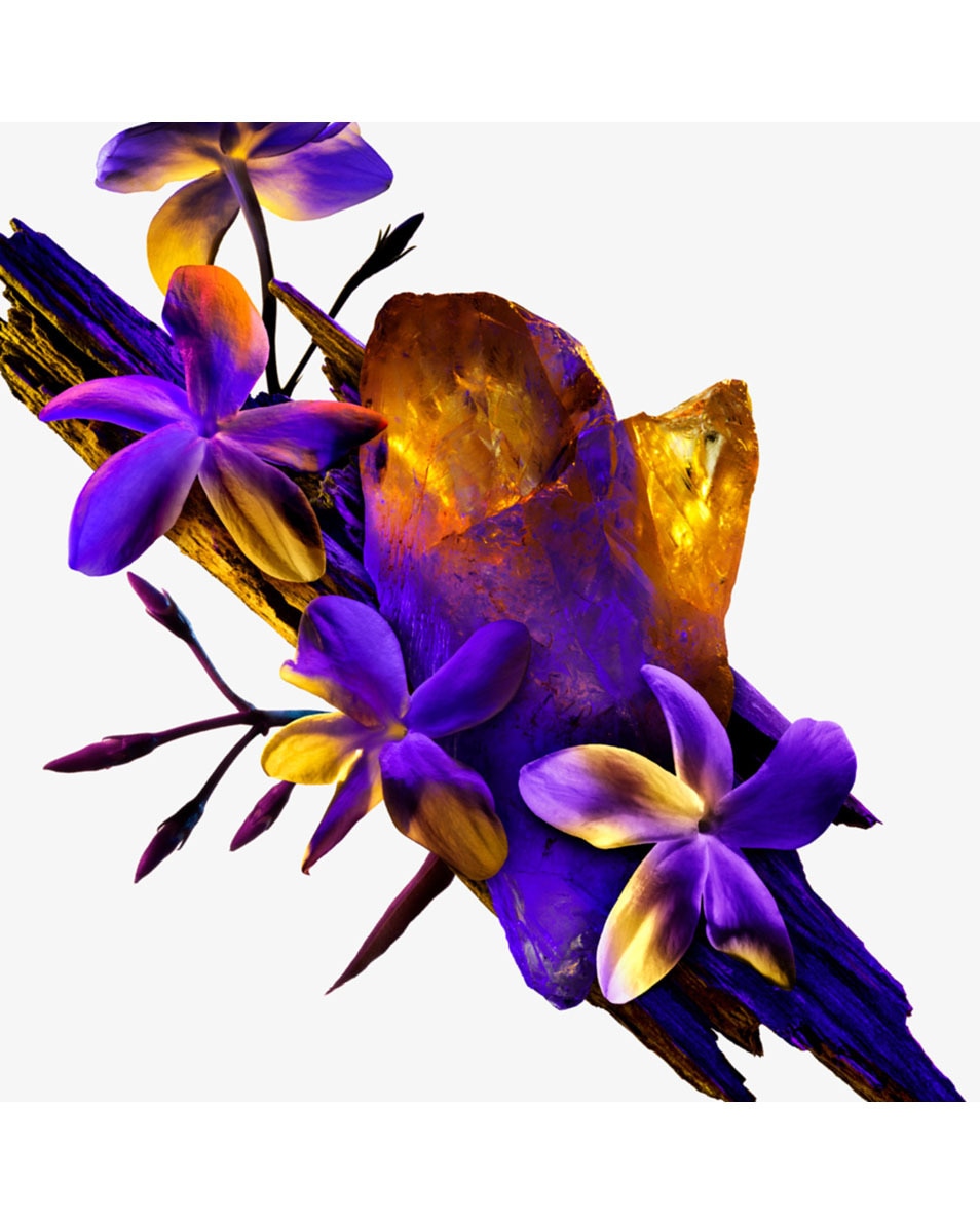 Eau De Parfum - Navulling