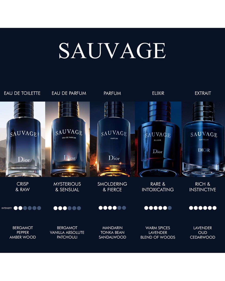 DIOR SAUVAGE Elixir 100 ML 3