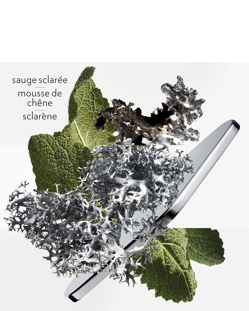 HERMÈS H24 EAU DE PARFUM 50 ML 3