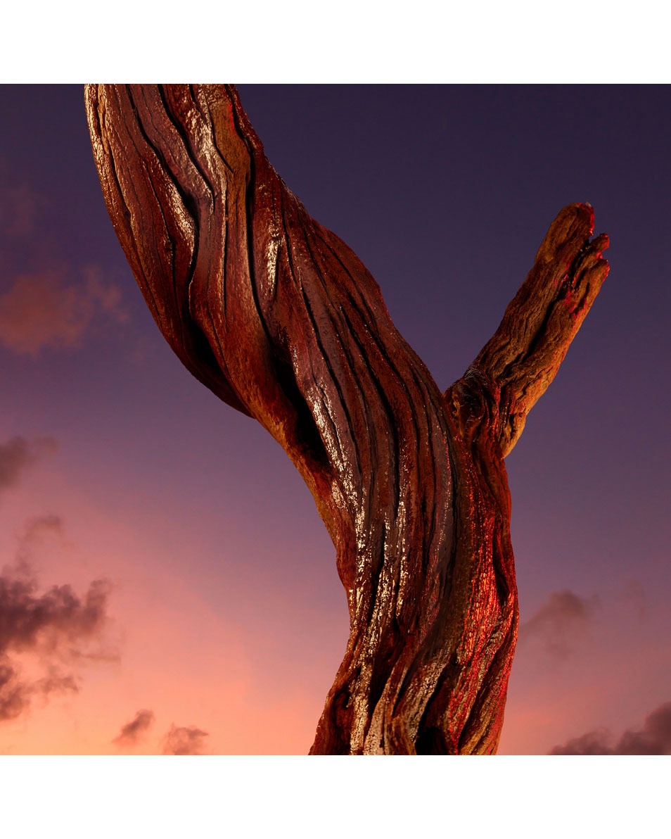 Parfum Intense pour Hommes