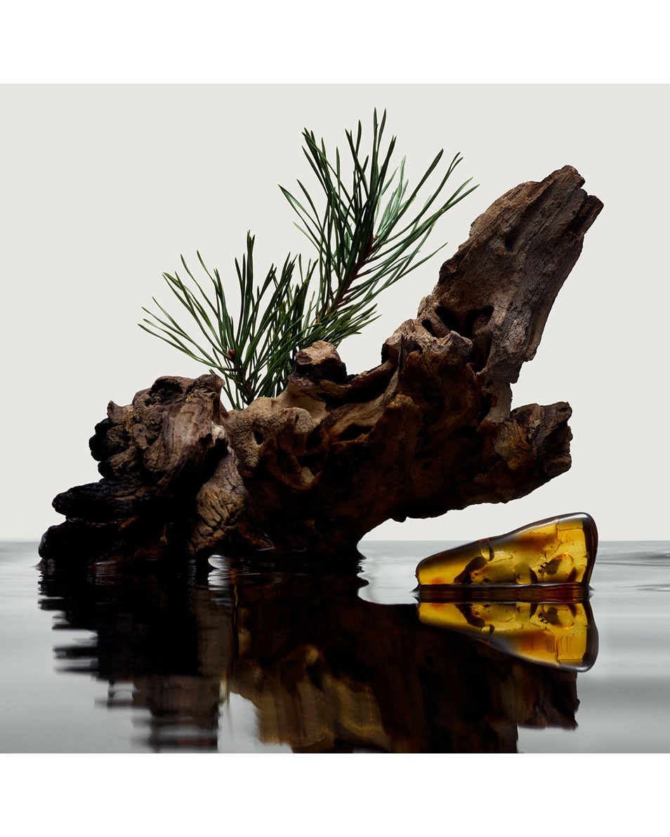 BURBERRY HERO Eau De Parfum 150 ML 3