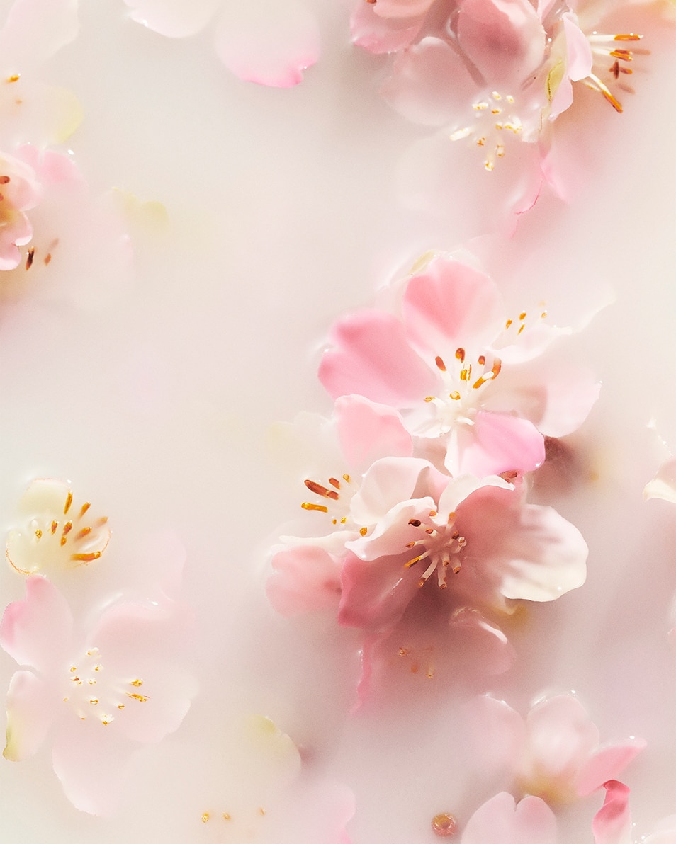 RITUALS THE RITUAL OF SAKURA RECOVERY HAND BALM BAUME POUR LES MAINS 70 ML 3