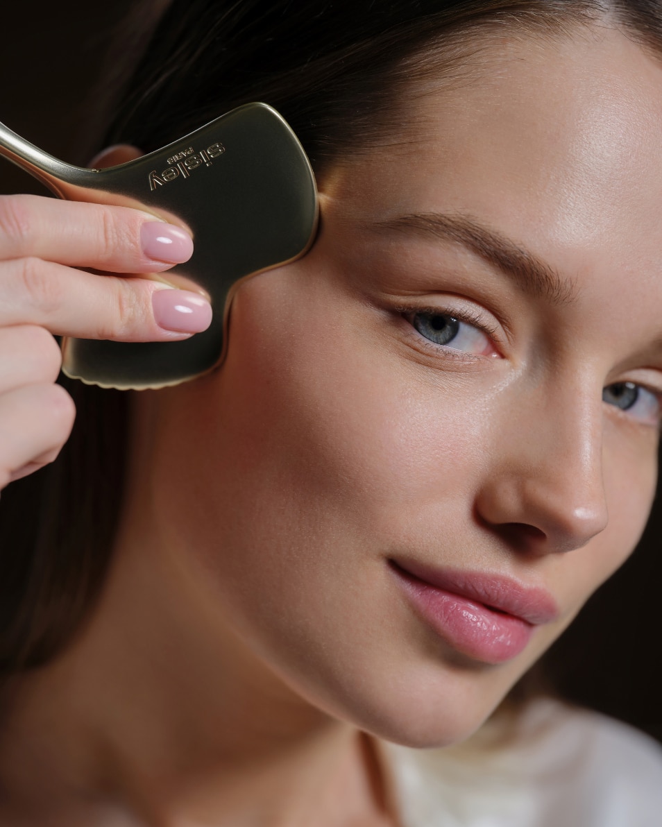 IDEALE VOOR ANTIVEROUDERINGSRITUEEL