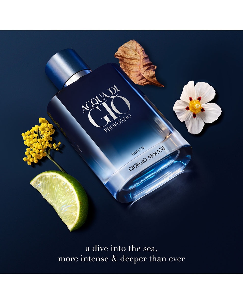 ARMANI Acqua Di Giò Profondo Le Parfum Heren Parfum 100 ML