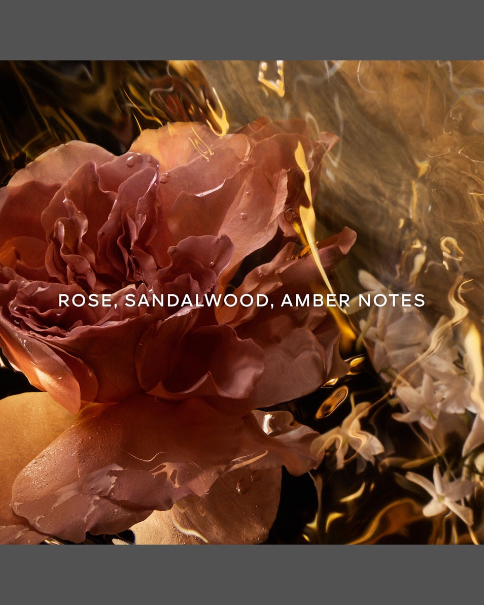 Absolus Allegoria Santal Royal Eau de Parfum