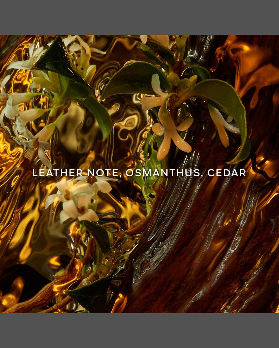 Absolus Allegoria Cuir Intense Eau de Parfum