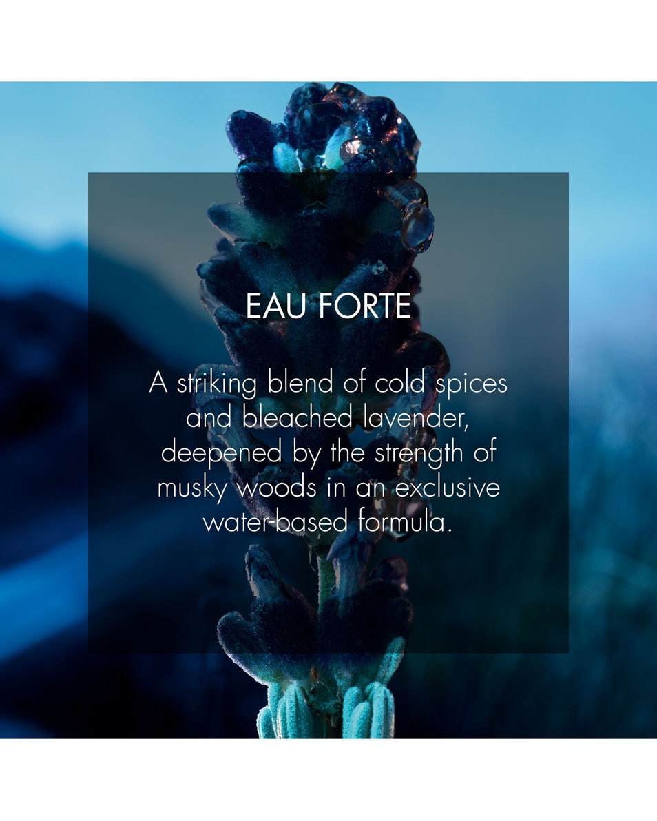 DIOR SAUVAGE Eau Forte - Parfum sans alcool - Notes fraîches et intenses 60 ML 3