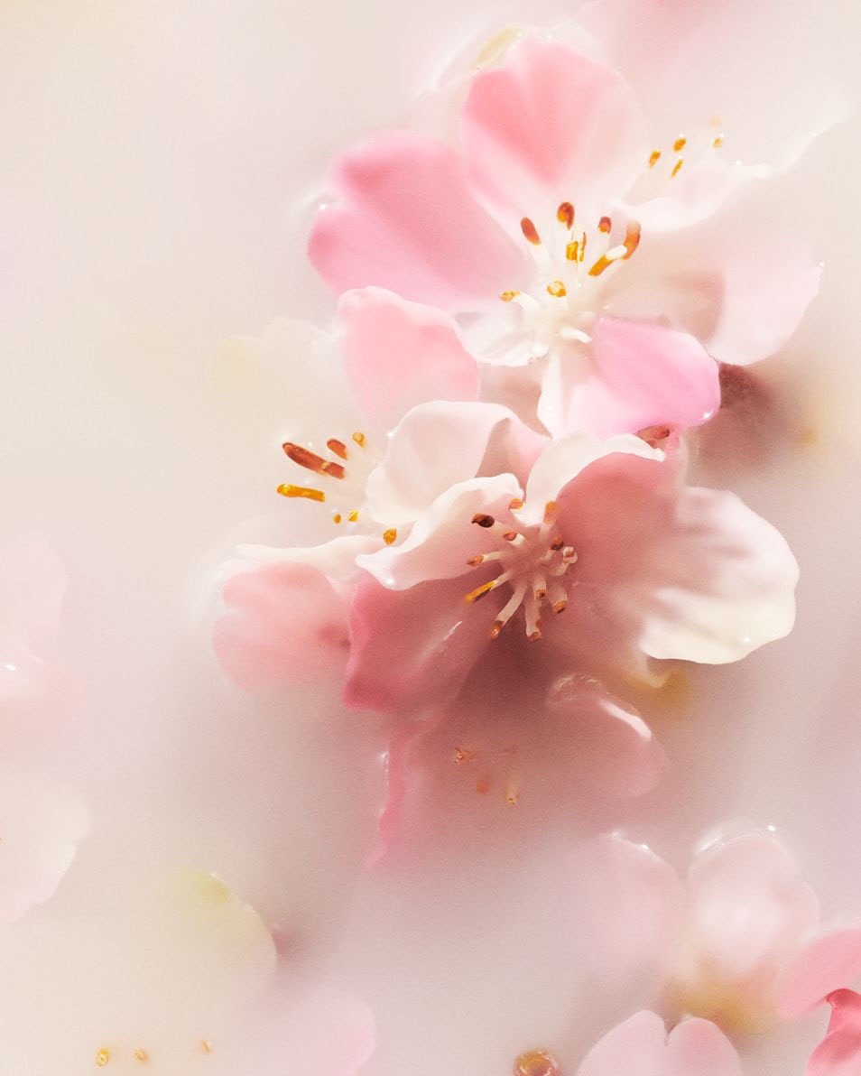 RITUALS The Ritual of Sakura geurkaars 290 G 3