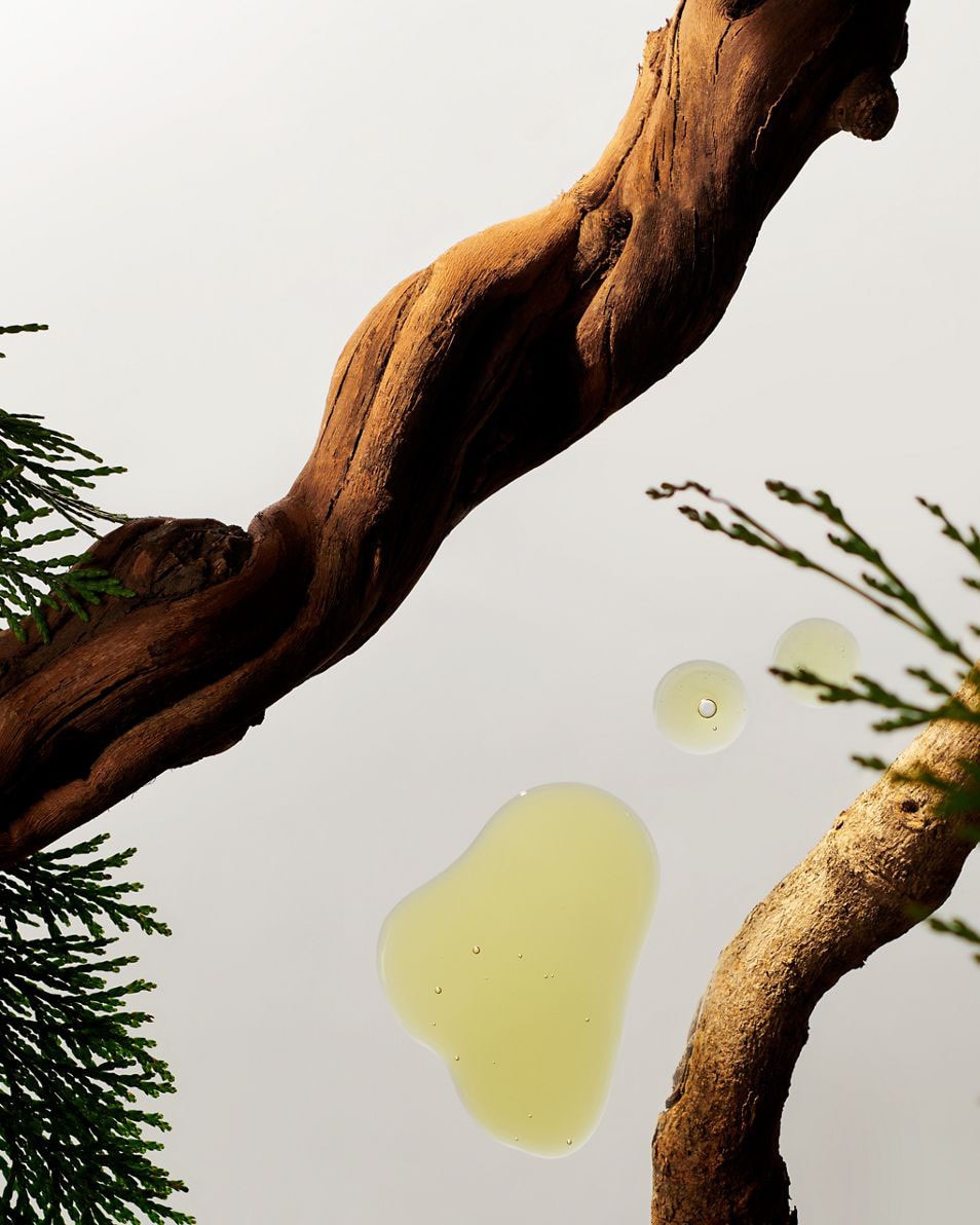 2 Recharges diffuseur de voiture