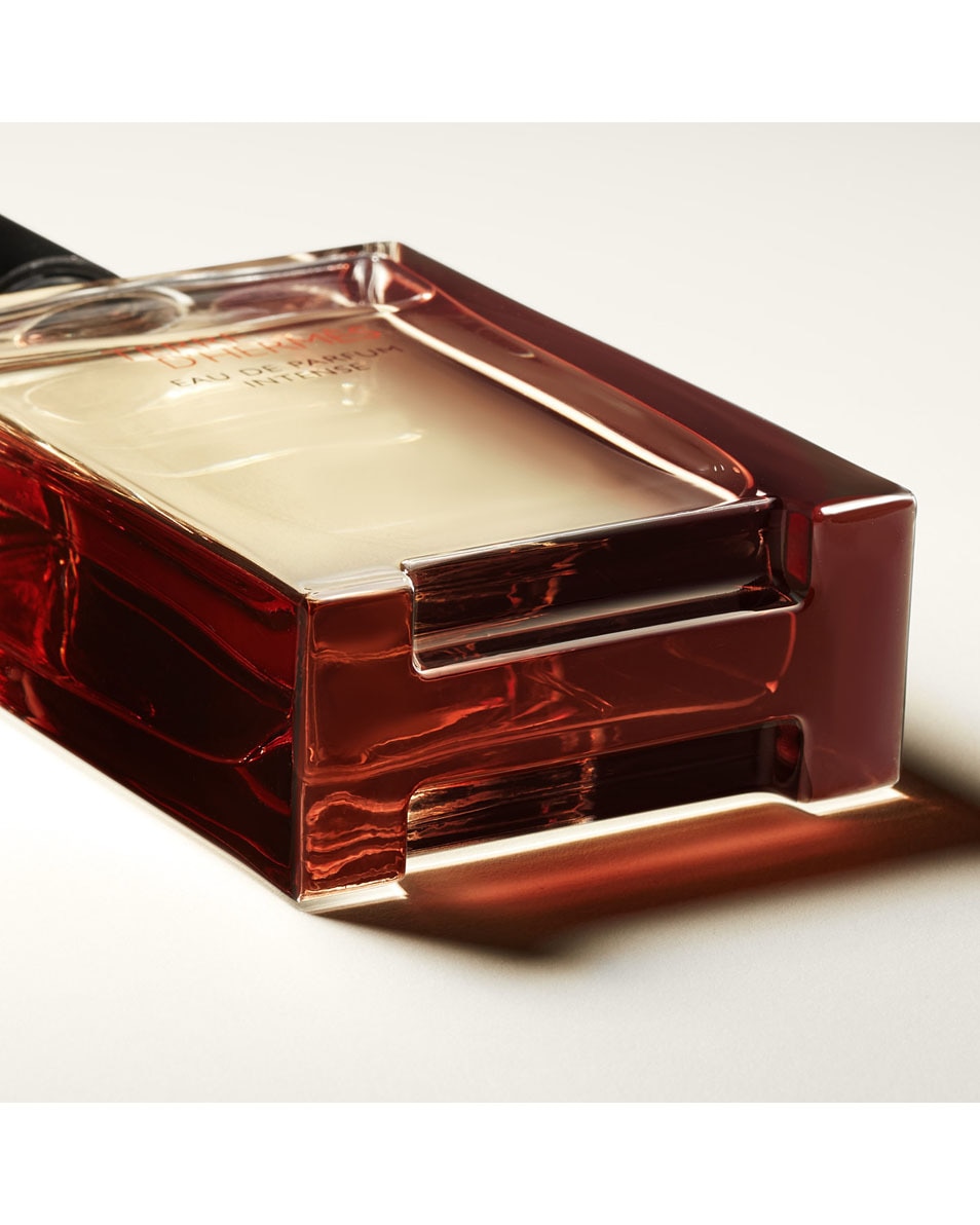 HERMÈS Terre d'Hermès Eau de Parfum Intense 100 ML 3
