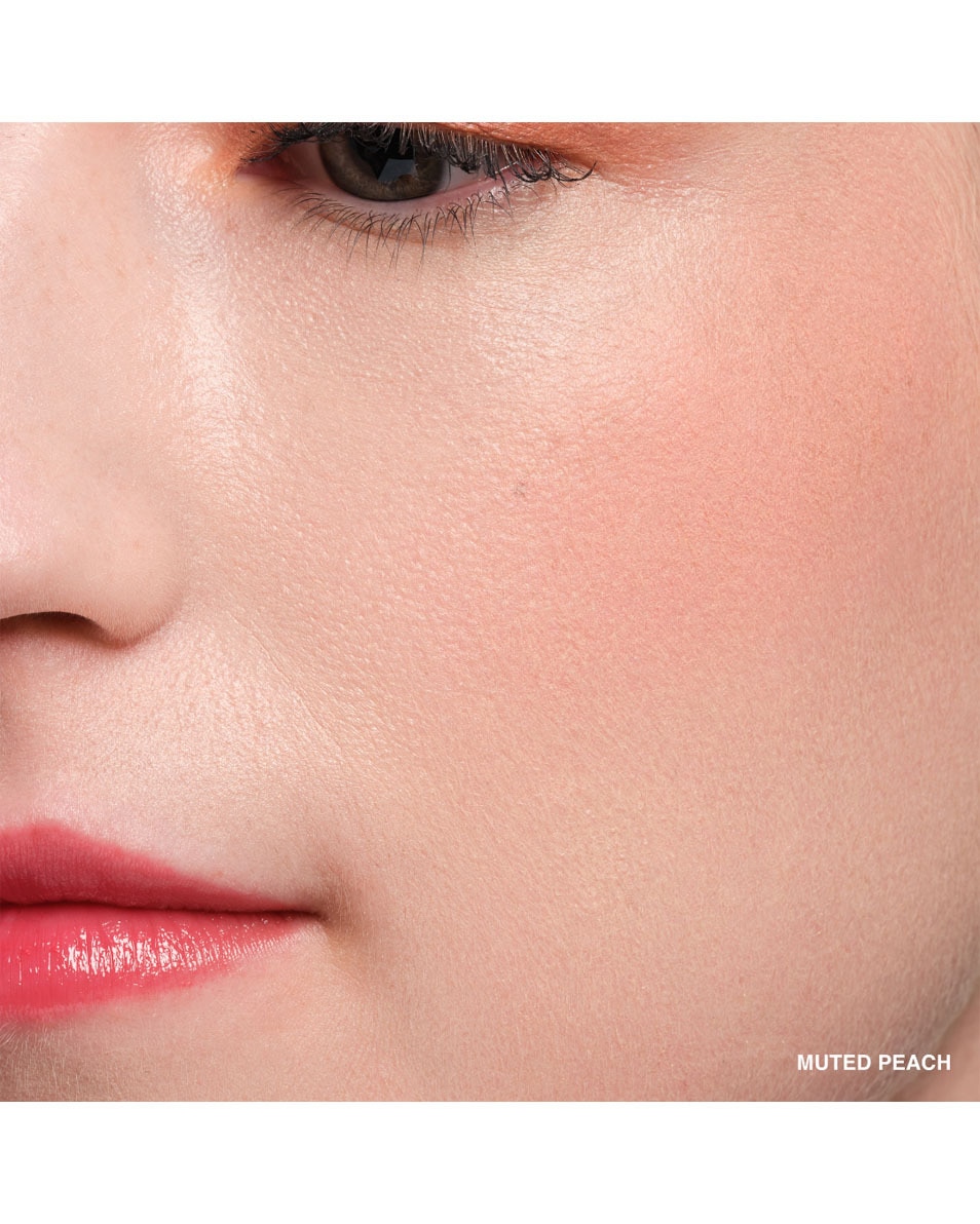 BOBBI BROWN POT ROUGE VELVET MATTE BLUSH MUTED PEACH 3