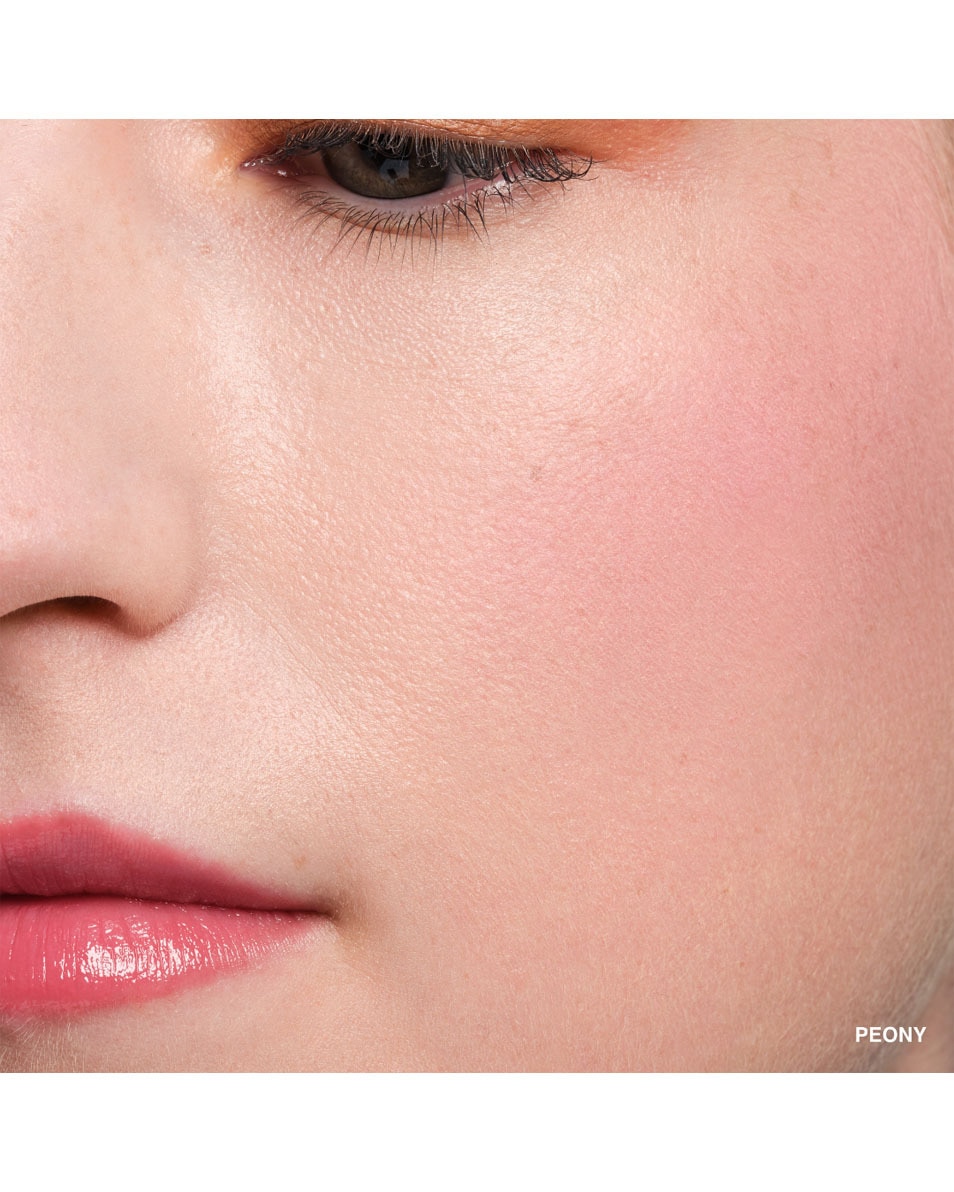 BOBBI BROWN POT ROUGE VELVET MATTE BLUSH PEONY 3