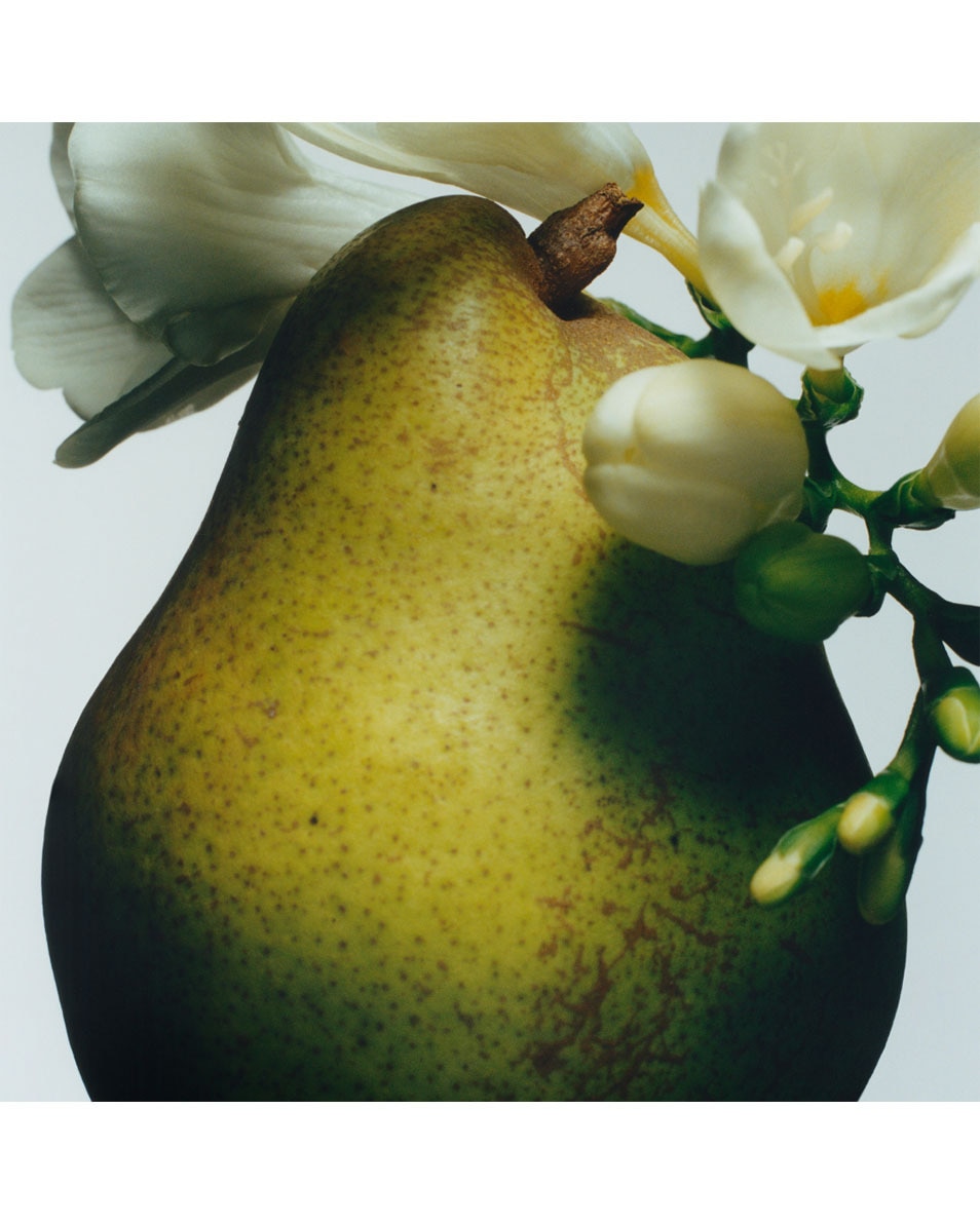 JO MALONE LONDON English Pear & Freesia Home Diffuser Refill 165 ML 3