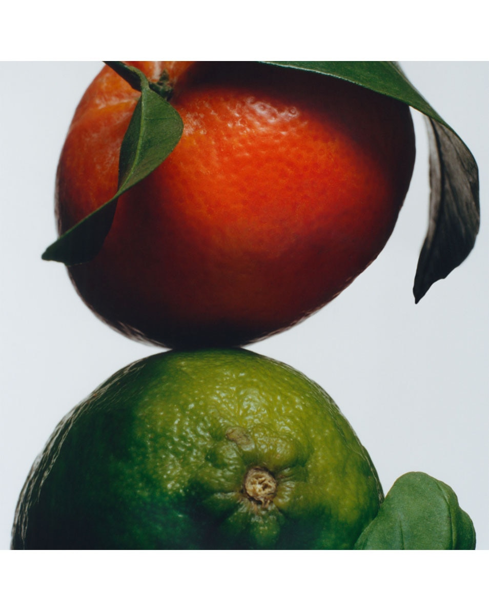 JO MALONE LONDON Lime Basil & Mandarin Home Diffuser Refill 165 ML 3