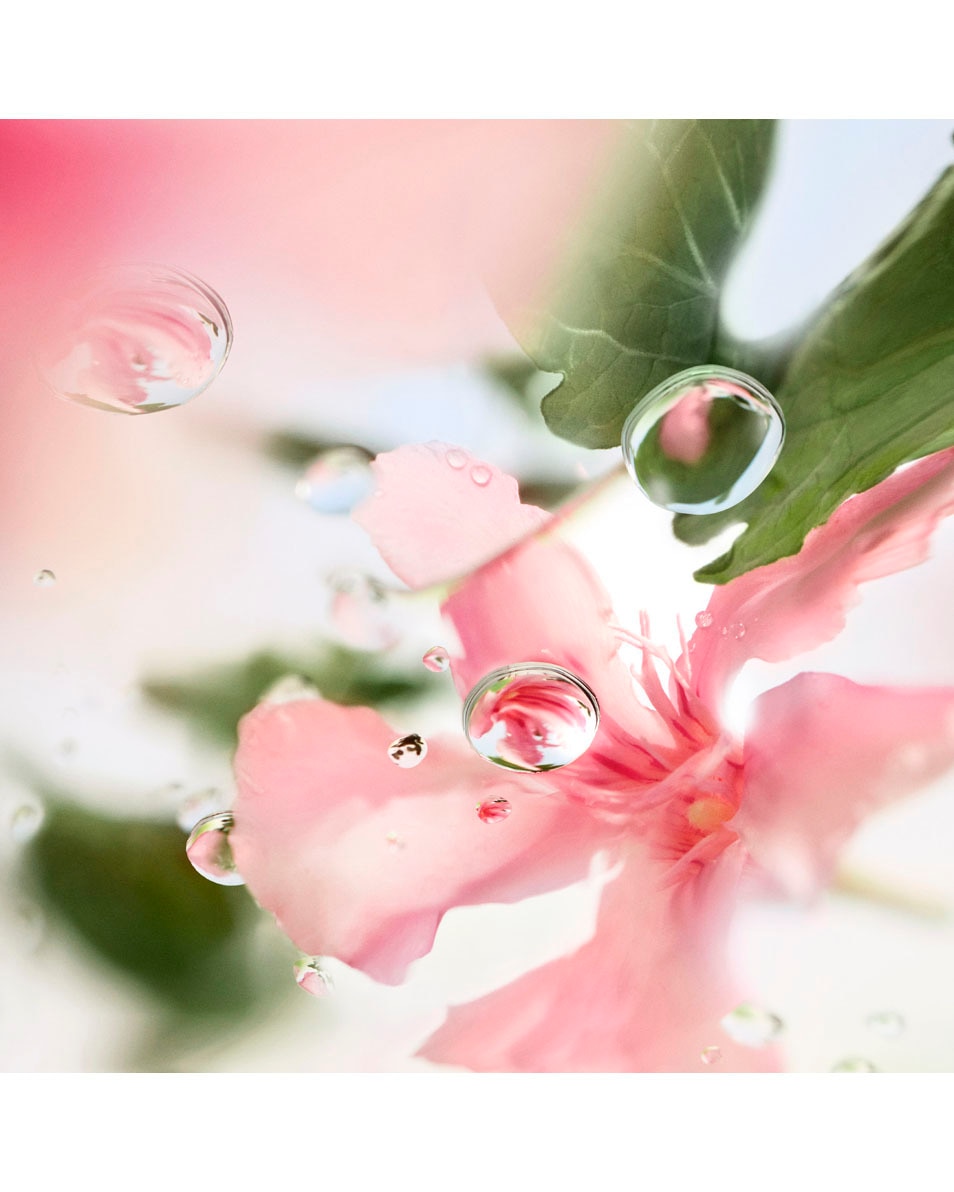 LANCÔME Over The Top Eau De Toilette 100 ML 3