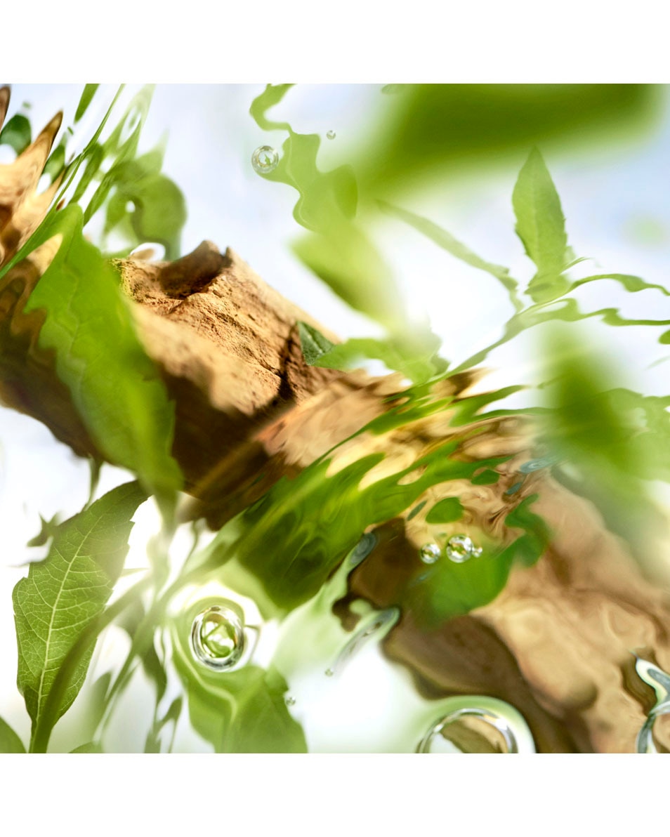 LANCÔME Off Now Eau De Toilette 100 ML 3