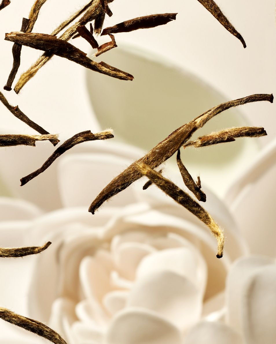 Crème Pour Le Corps