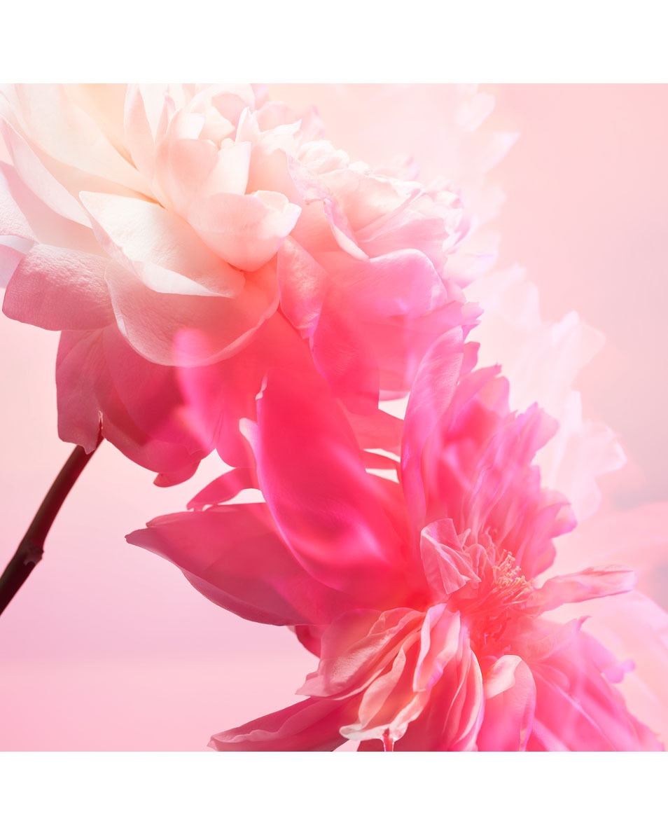 CHARLOTTE TILBURY Big Lip Plumpgasm PILLOW TALK LOVE FREQUENCY KIT 2 ST 3