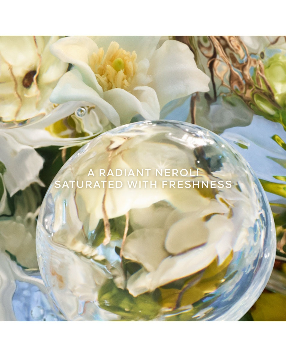 GUERLAIN AQUA ALLEGORIA PERLE NEROLI VETIVER Eau de Parfum Limited Edition 125 ML 3