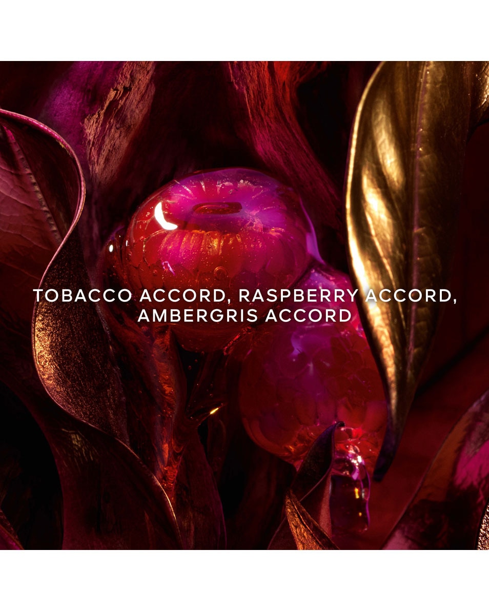 GUERLAIN Absolus Allegoria Tabac Sahara Eau de Parfum 75 ML 3