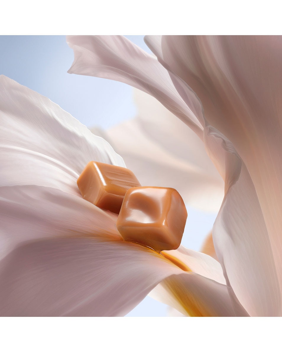 LANCÔME La Vie Est Belle Brume Corps & Cheveux 100 ML 3