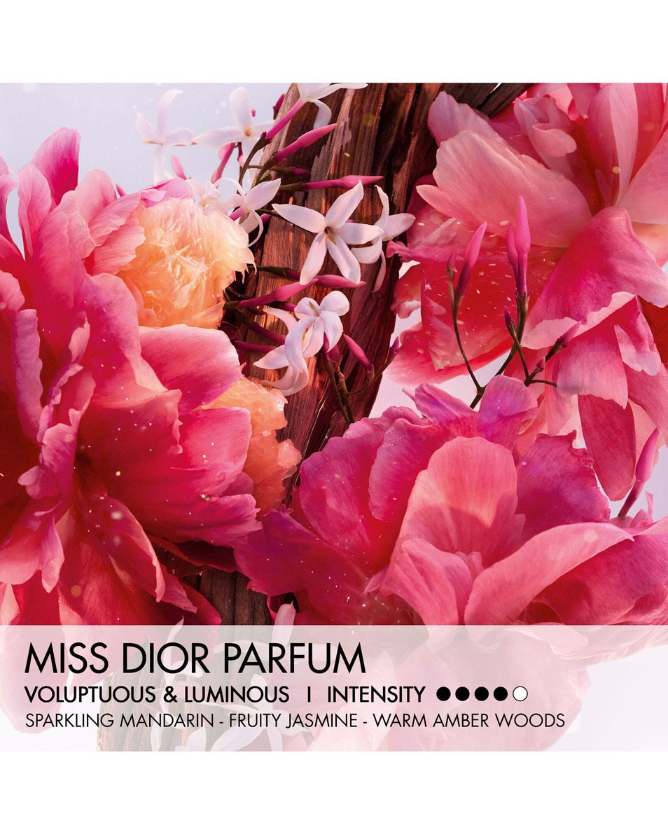 DIOR Miss Dior Parfum Roller-Pearl Parfum de voyage - Notes florales fruitées et boisées 20 ML