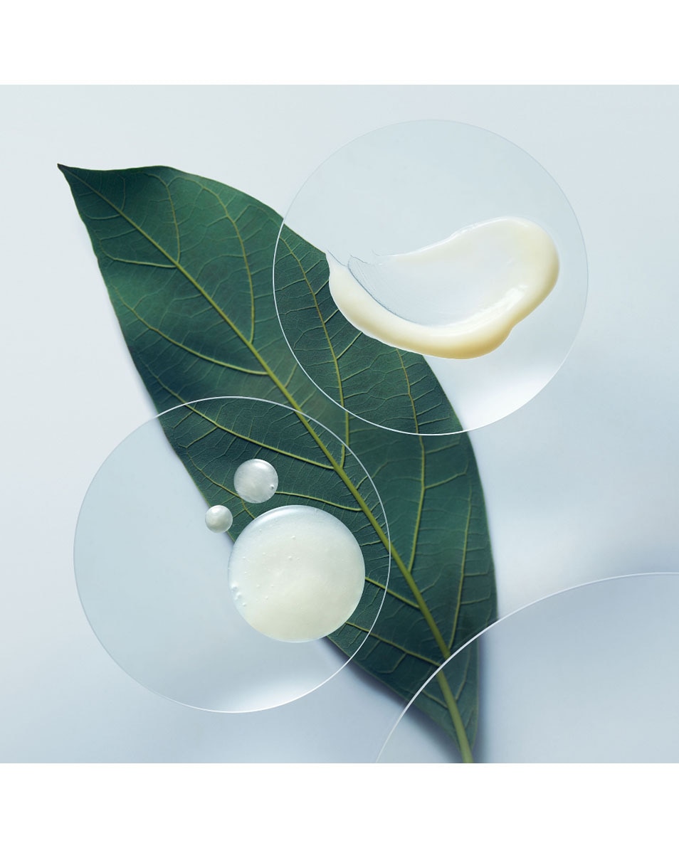 AVEDA Botanical Repair Conditioner Après-shampooing réparateur 40 ML 3