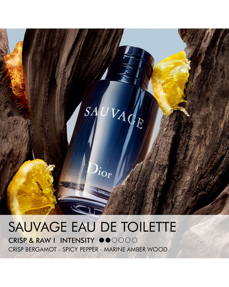 DIOR Sauvage Eau de Toilette - Limited Edition Men's Fragrance Herenparfum - Kruidige & hesperide noten 100 ML