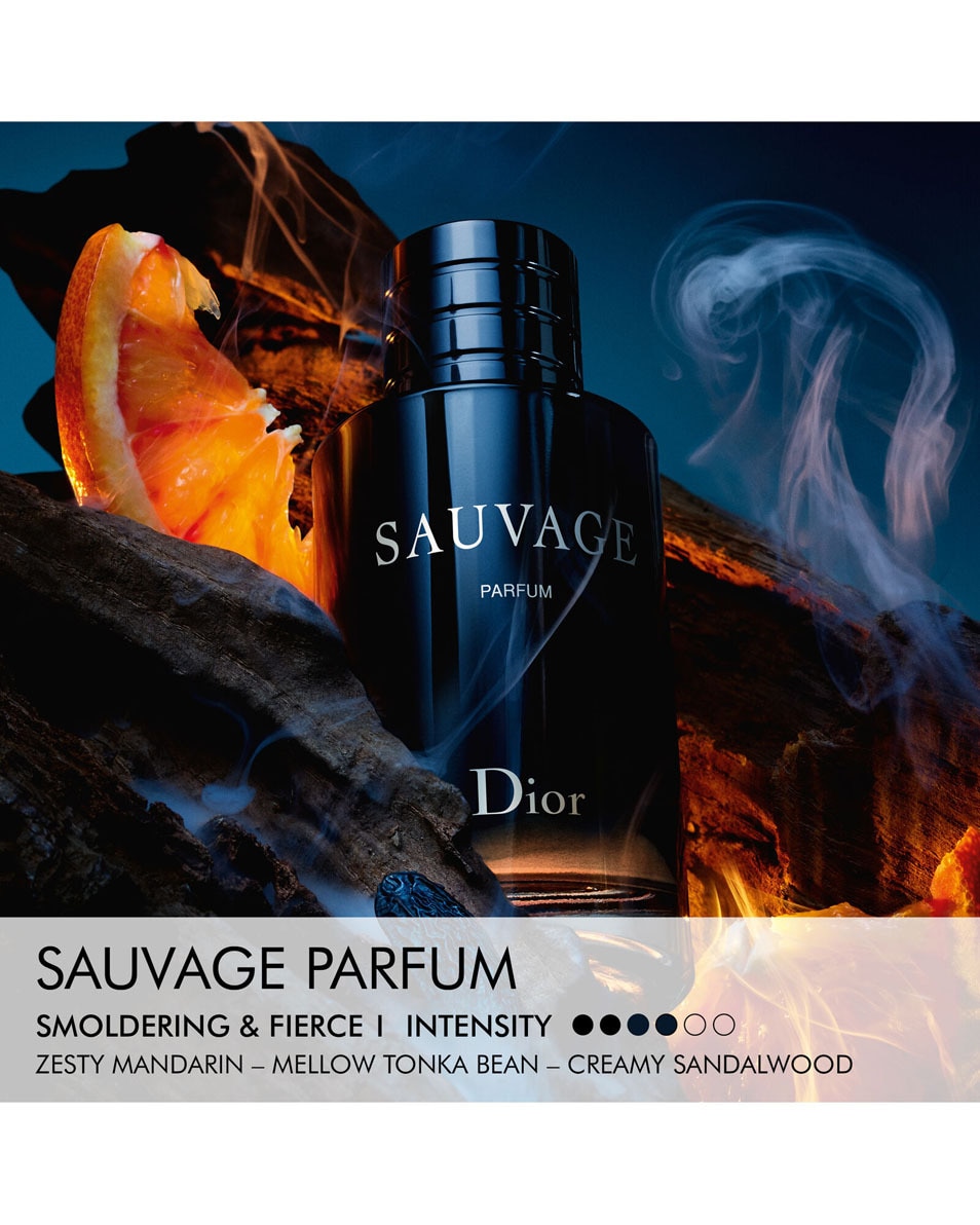 DIOR Sauvage Parfum - Limited Edition Men's Fragrance Hesperide- en houtachtige noten - geschenk pouch 100 ML