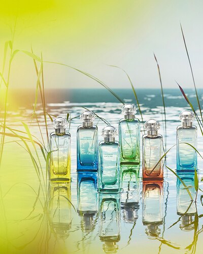 HERMÈS JARDIN SUR LE TOIT EAU DE TOILETTE 100 ML