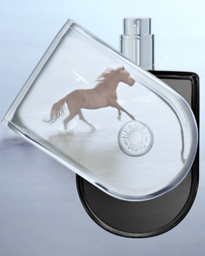 HERMÈS VOYAGE D'HERMES PARFUM 100 ML