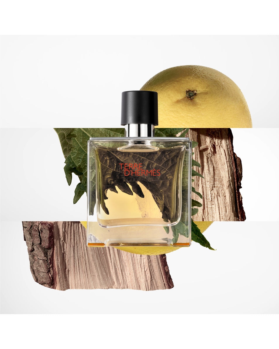 HERMÈS TERRE D'HERMÈS NAVULLING PARFUM 125 ML 3