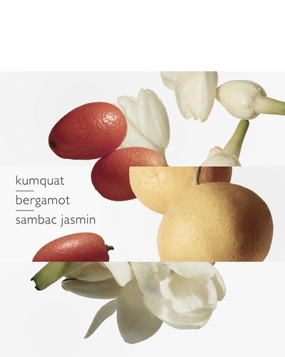 HERMÈS LE JARDIN DE MONSIEUR LI EAU DE TOILETTE VERSTUIVER 50 ML