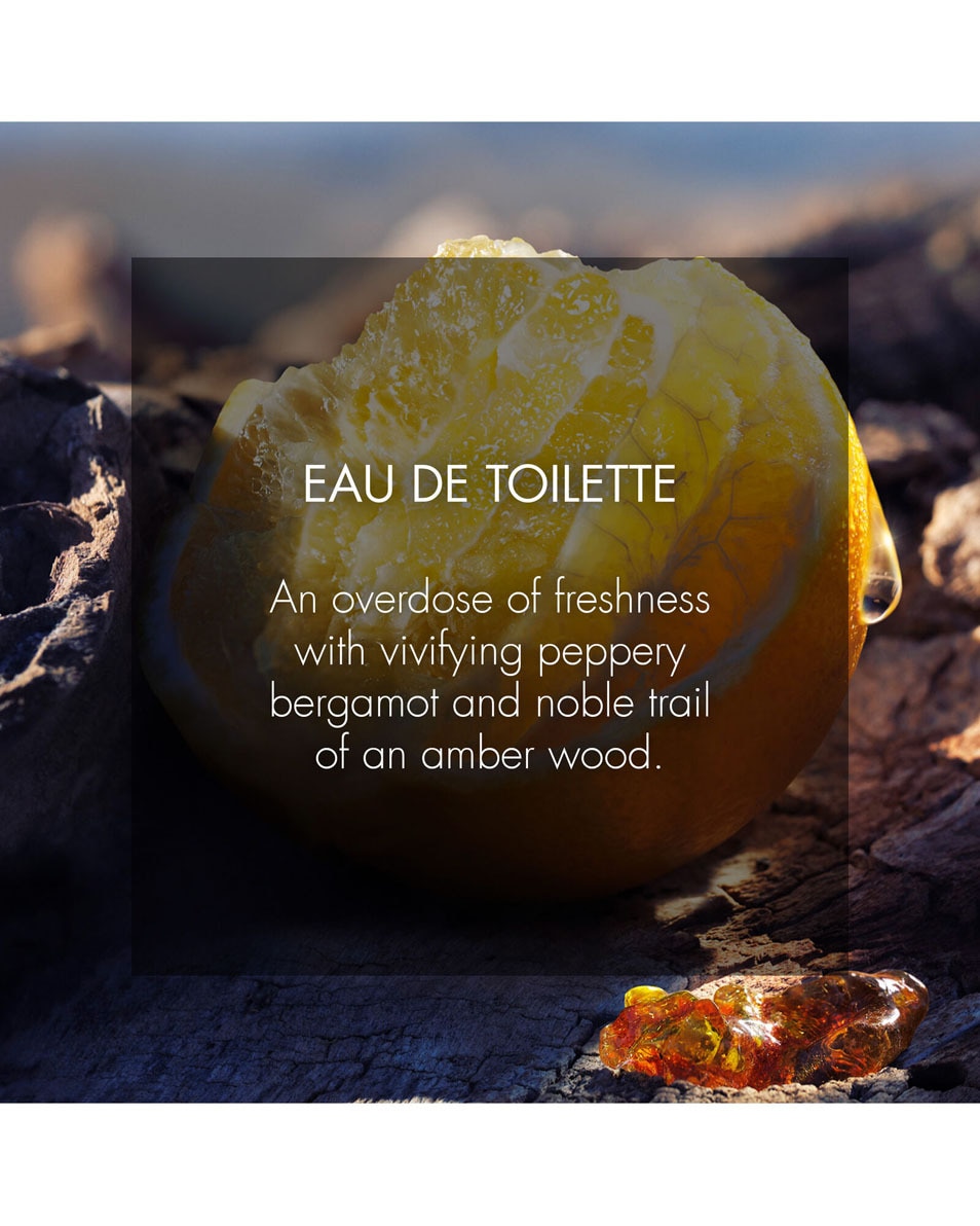 DIOR SAUVAGE Eau de toilette 100 ML 3