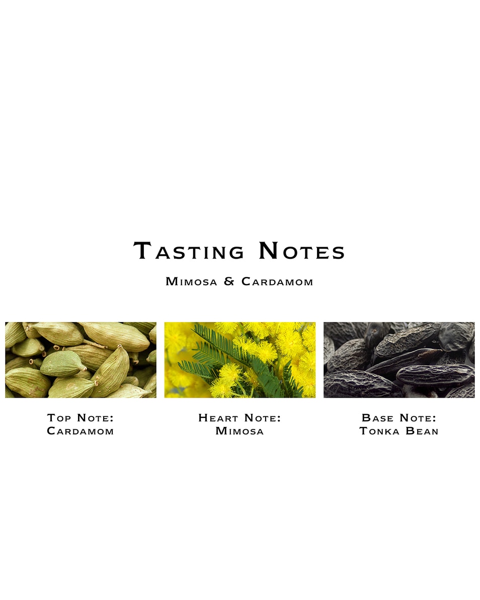 JO MALONE LONDON MIMOSA & CARDAMOM COLOGNE 100 ML 3