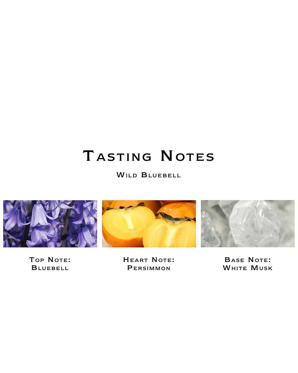 JO MALONE LONDON WILD BLUEBELL COLOGNE 100 ML 3